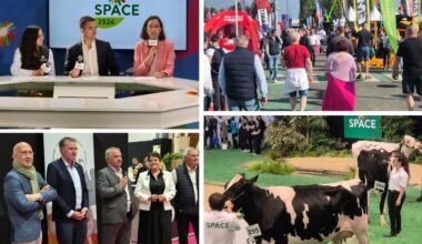 cap sur l’innovation et l’internationalisation