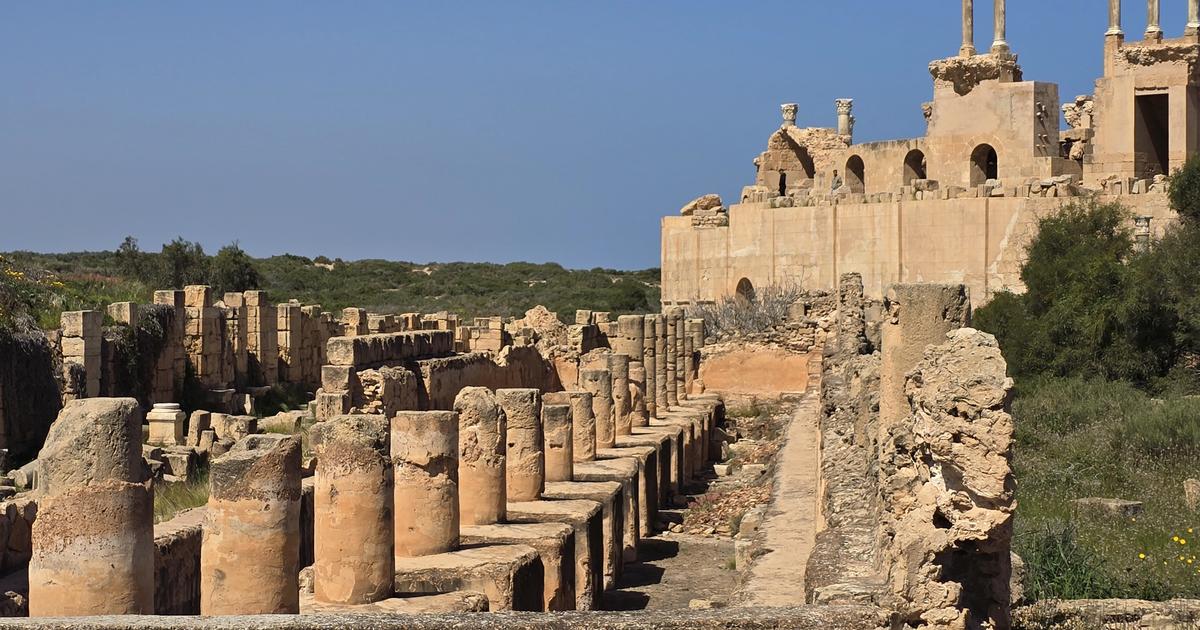 Au Royaume-Uni, des archéologues découvrent les premières traces physiques de combats entre gladiateurs et félins