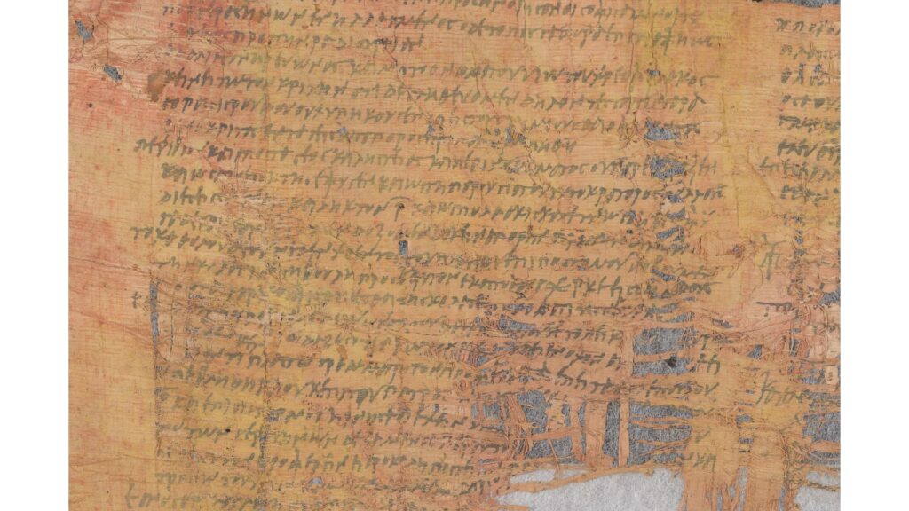 Papyrus Cotton  // Source : Israel Antiquities Authority