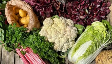 Le bio reprend des couleurs en Île-de-France