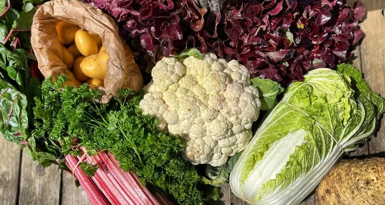 Le bio reprend des couleurs en Île-de-France