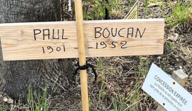 Une mystérieuse tombe découverte sur les boulevards de Bordeaux : on a mené l'enquête
