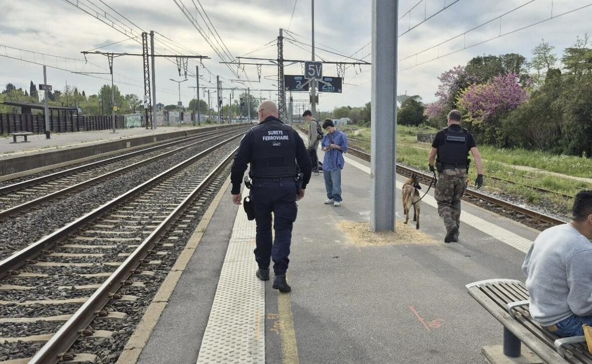 300 contrôles, saisies et infractions en série