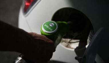 les voitures thermiques font de la résistance en Europe