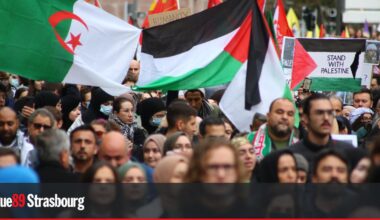 Manifestation "contre le génocide" en Palestine samedi 12 avril