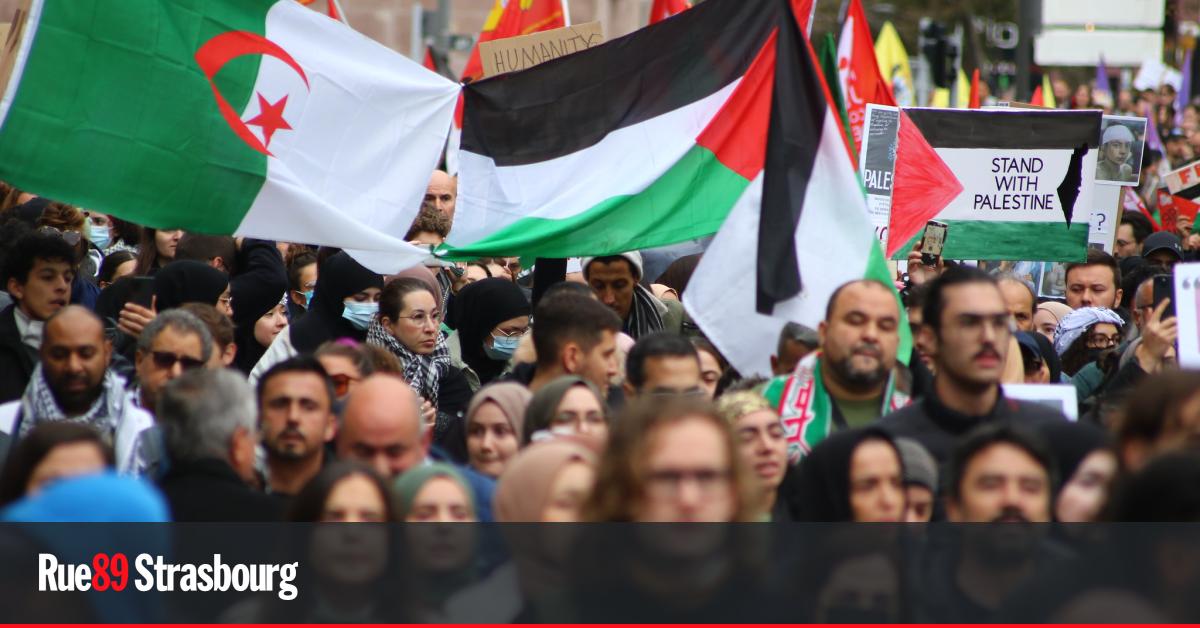 Manifestation "contre le génocide" en Palestine samedi 12 avril