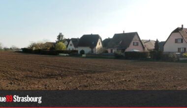 À Geispolsheim, "le maire rate l'occasion de protéger les habitants des pesticides"