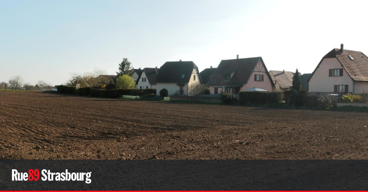 À Geispolsheim, "le maire rate l'occasion de protéger les habitants des pesticides"
