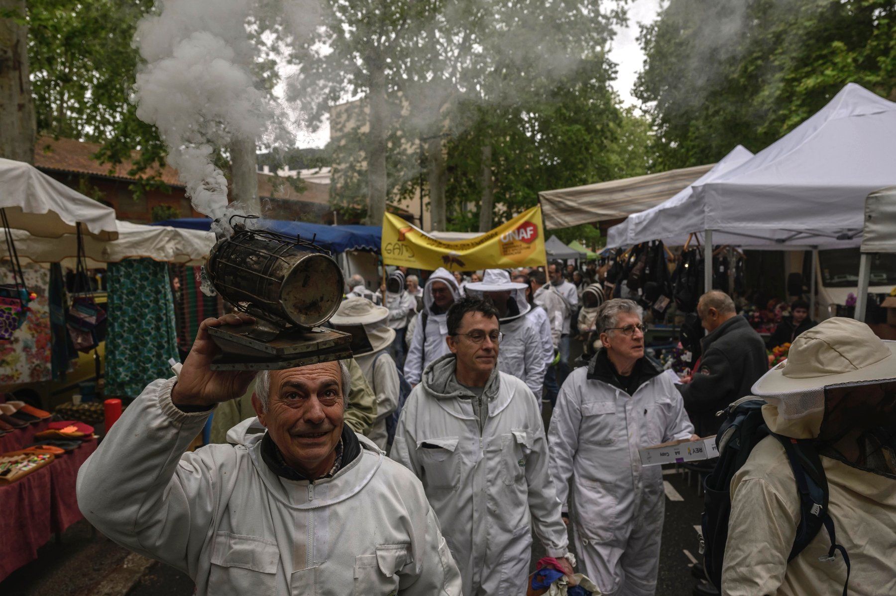 Manifestation d'apiculteurs contre les pesticides à Toulouse, le 27 avril 2025