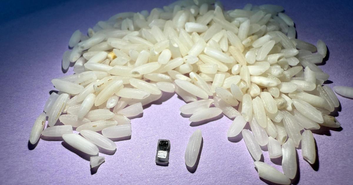 Des chercheurs mettent au point un pacemaker plus petit qu’un grain de riz