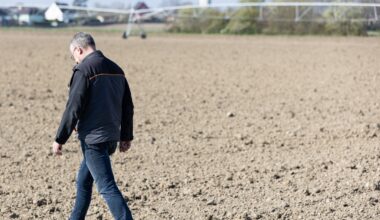 le plus gros maraîcher du Grand Est cesse sa production