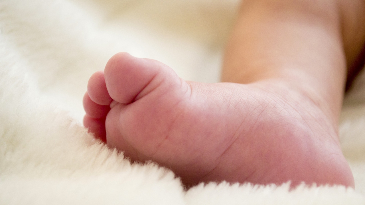 À 66 ans, elle met au monde son dixième enfant en Allemagne