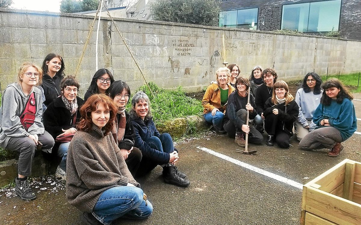 À l’école d’art de Lorient, « on recrée du lien entre humains et végétaux »