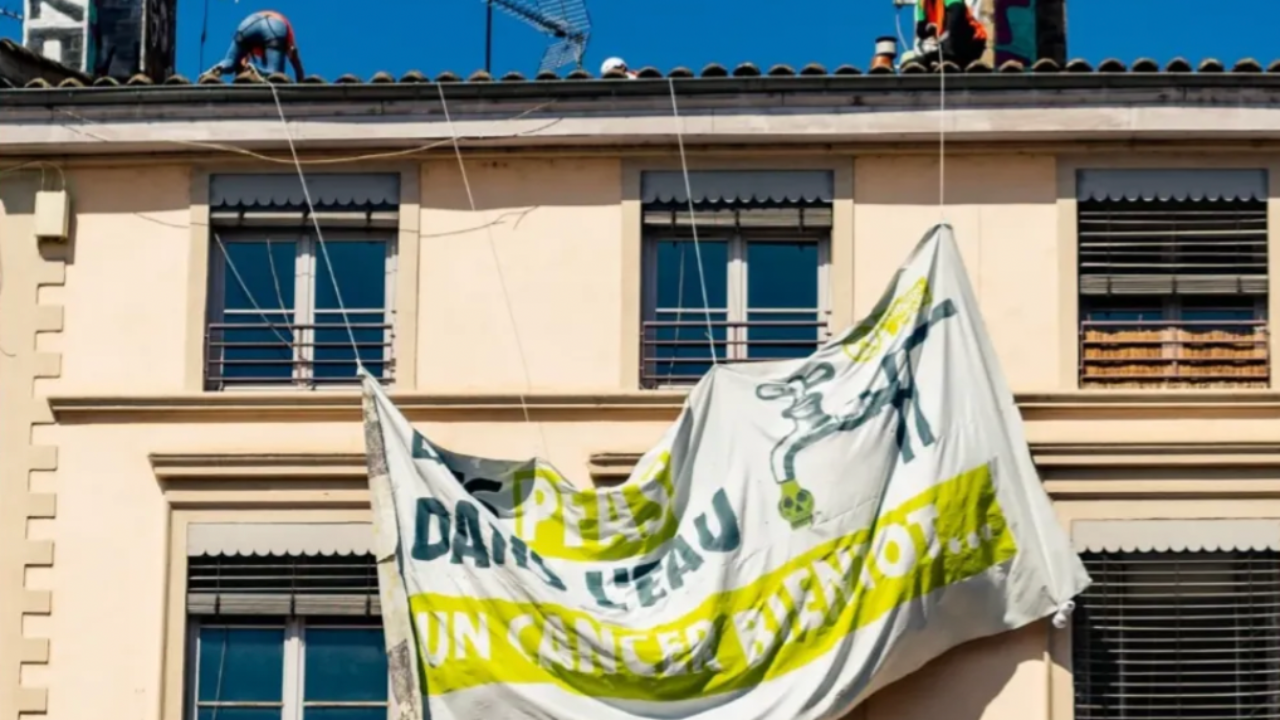 leur action vire au fiasco, trois activistes écologistes interpellés pour mise en danger de la vie d'autrui