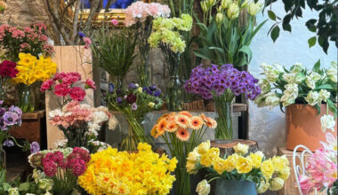 Cette boutique lyonnaise de fleurs va se transformer en galerie d’art éphémère