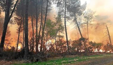 Un exercice militaire provoque un important incendie au nord de Rennes