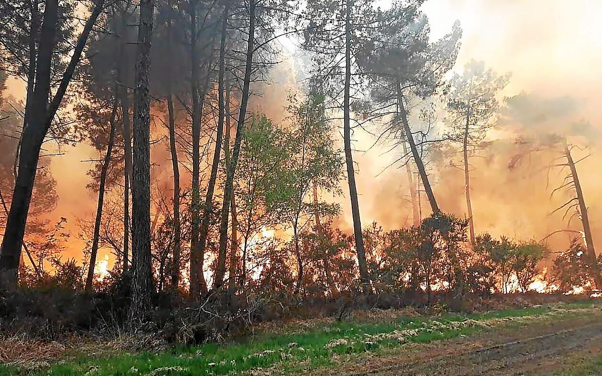 Un exercice militaire provoque un important incendie au nord de Rennes