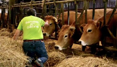 une tournée insolite au fil des granges en Gâtine