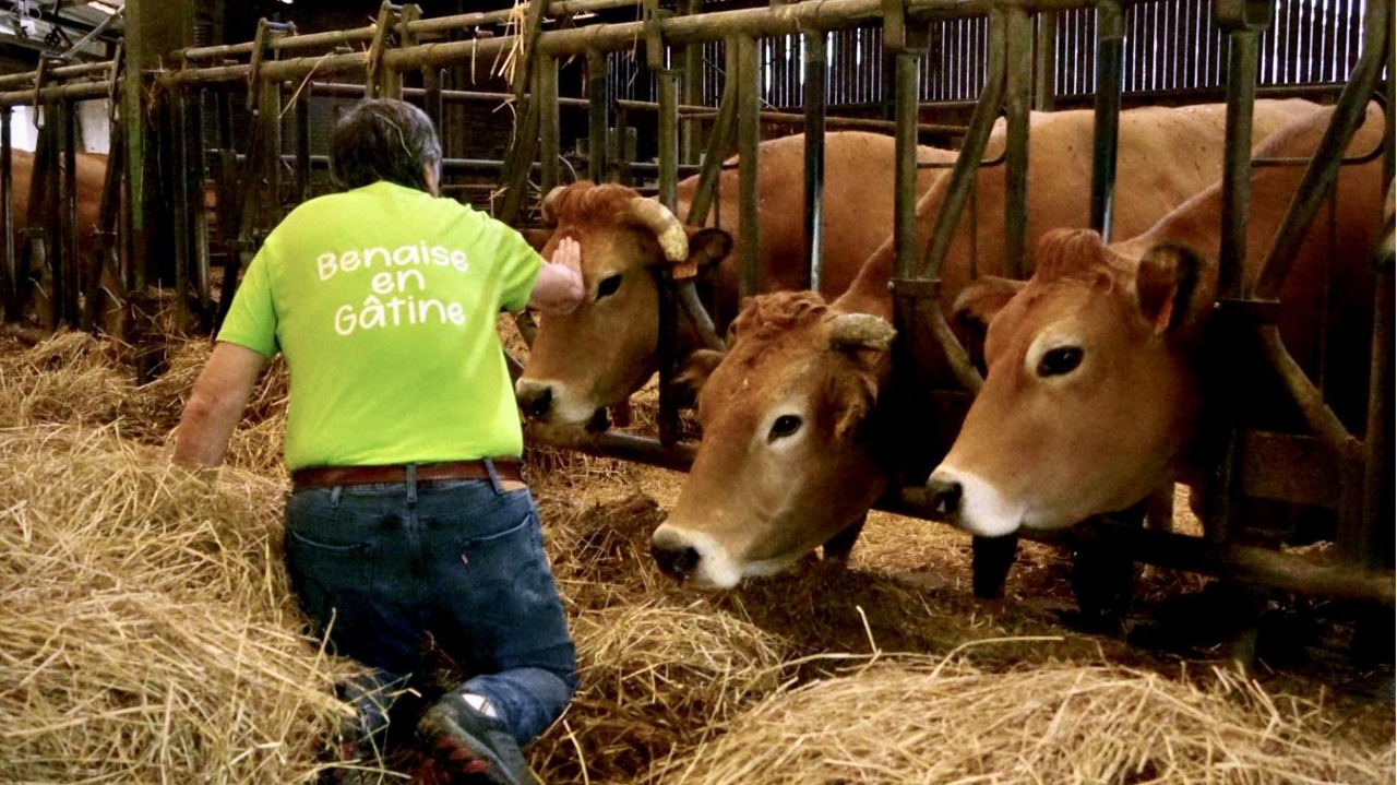 une tournée insolite au fil des granges en Gâtine