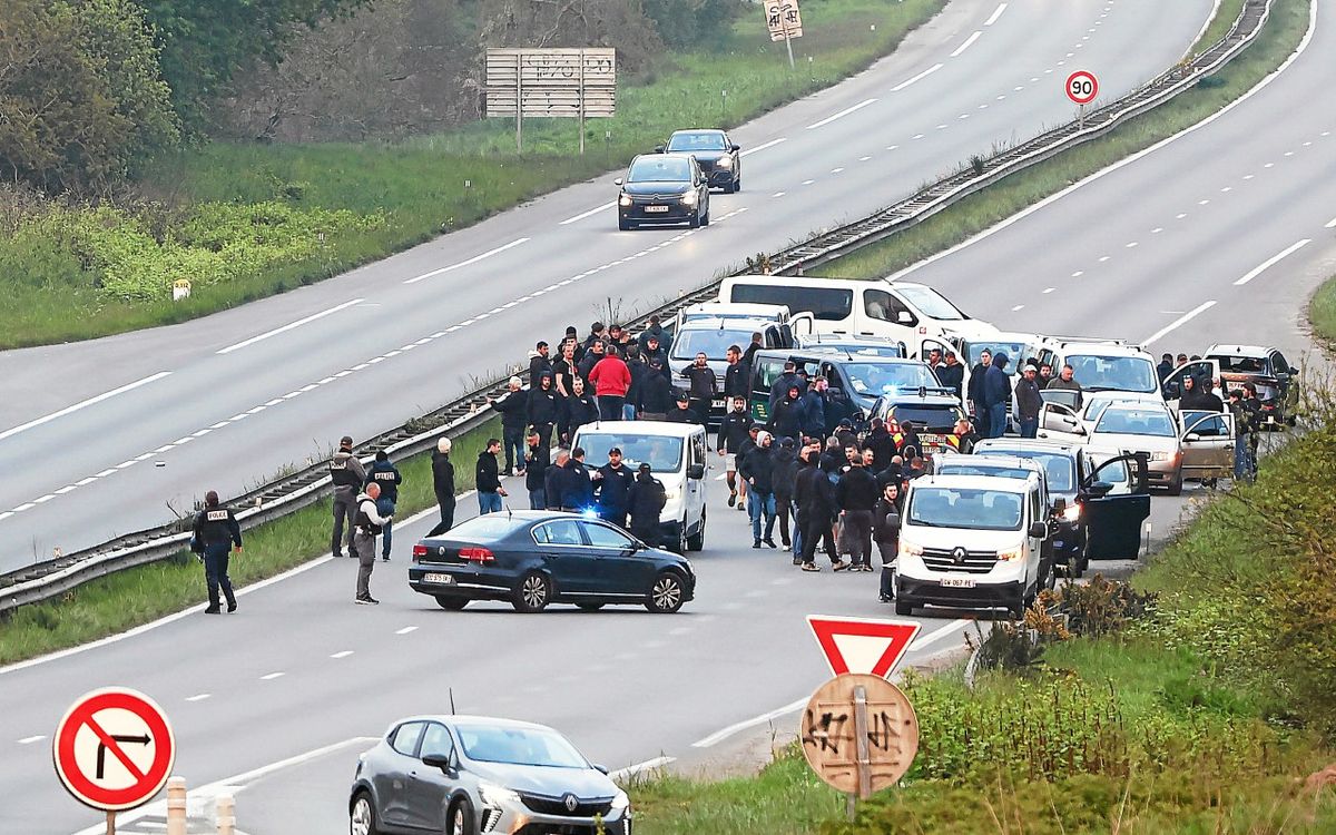 « Ces supporters se tirent une balle dans le pied » : que risquent les ultras après les affrontements en marge de Brest-Lens dimanche ?