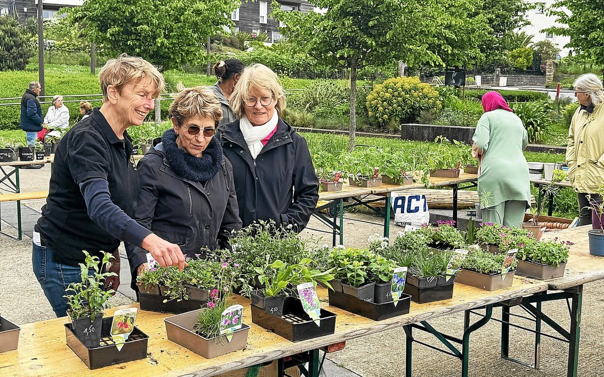 À Vannes, la journée troc de plantes et livres a animé le quartier Nord-gare samedi