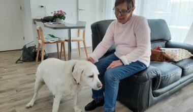 Lille. Dans cette résidence seniors, les animaux sont les bienvenus, pour le bonheur des propriétaires