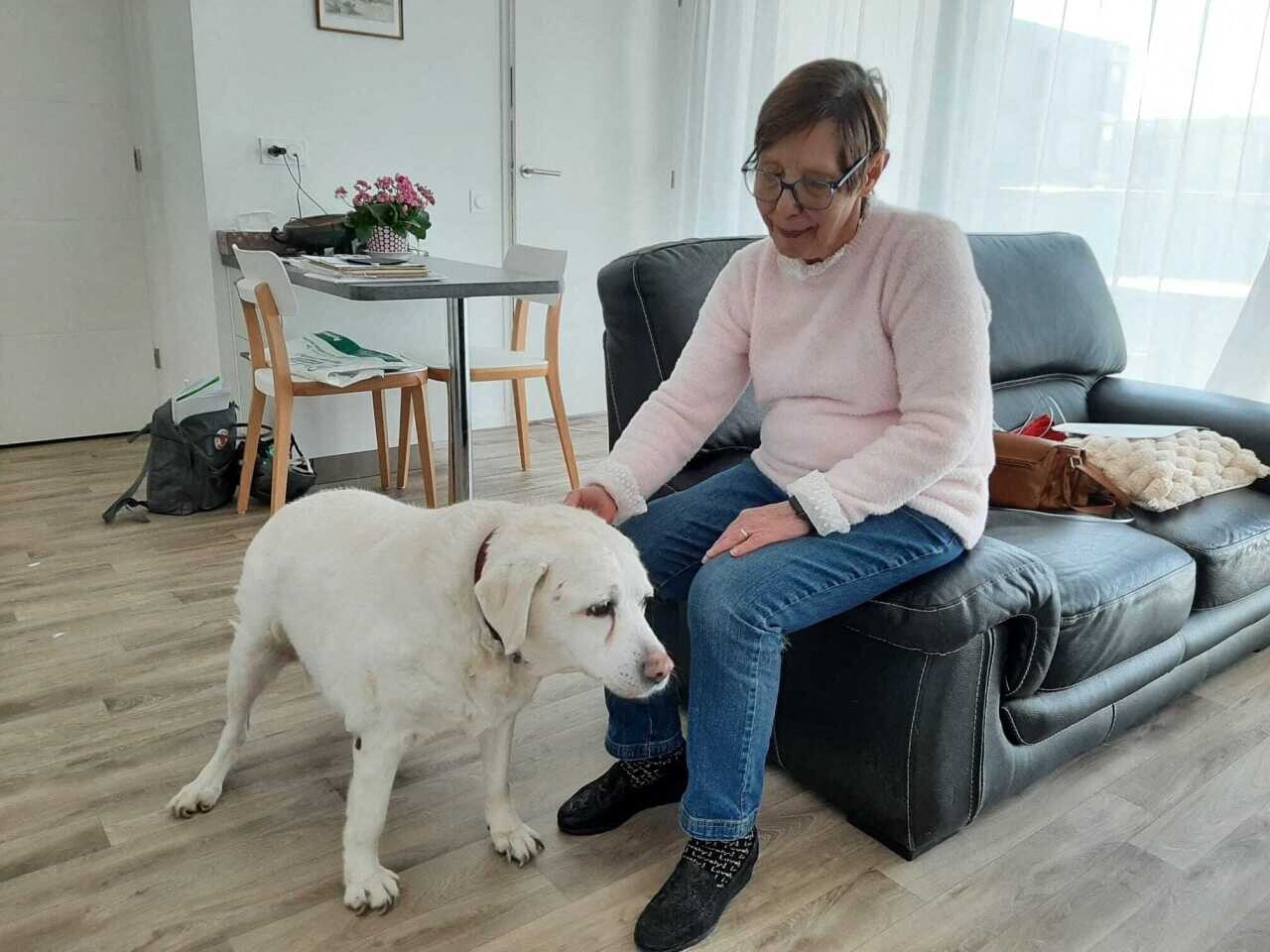 Lille. Dans cette résidence seniors, les animaux sont les bienvenus, pour le bonheur des propriétaires