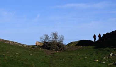 deux hommes jugés pour l’abattage «insensé» du Sycamore Gap Tree, un arbre légendaire – Libération