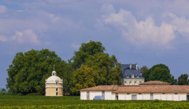 voici les 4 vins ayant reçu la note ultime de 100/100