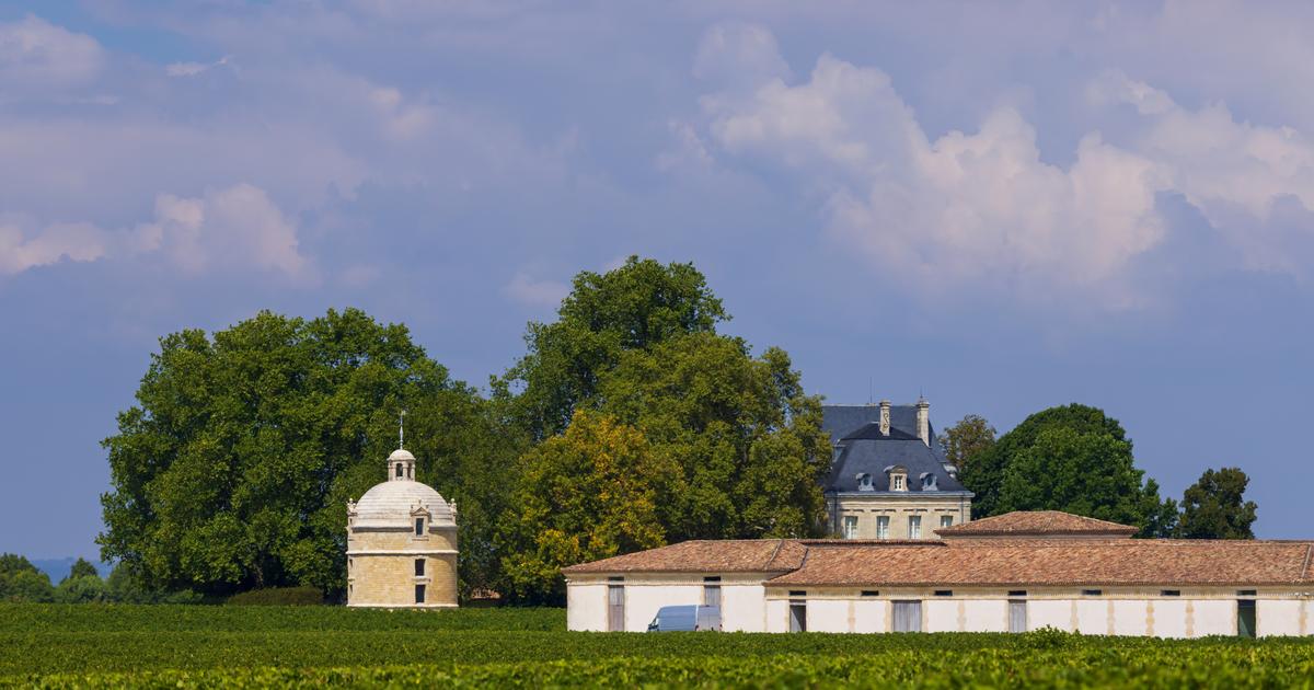 voici les 4 vins ayant reçu la note ultime de 100/100