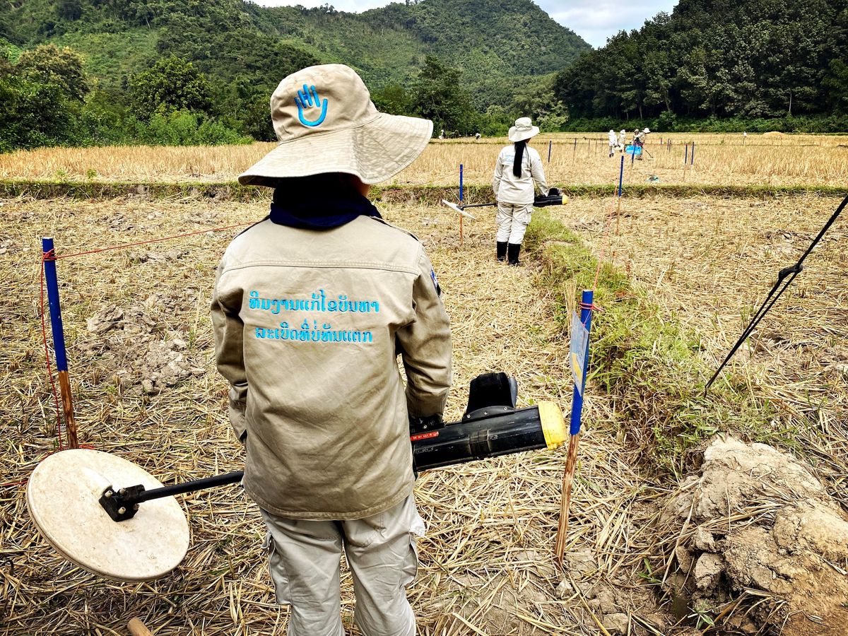 Experts en dépollution, principalement des femmes, travaillant dans une rizière près de Sophoun, Phongsaly, Laos, utilisant des détecteurs de métaux pour éliminer des restes d'explosifs de guerre.