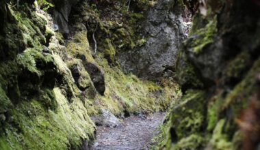 En prétextant un selfie, un médecin tente de jeter sa femme du haut d’une falaise