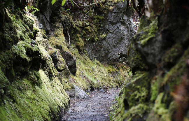 En prétextant un selfie, un médecin tente de jeter sa femme du haut d’une falaise