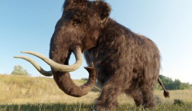 Après le loup géant, ces 6 animaux éteints que les scientifiques veulent ressusciter