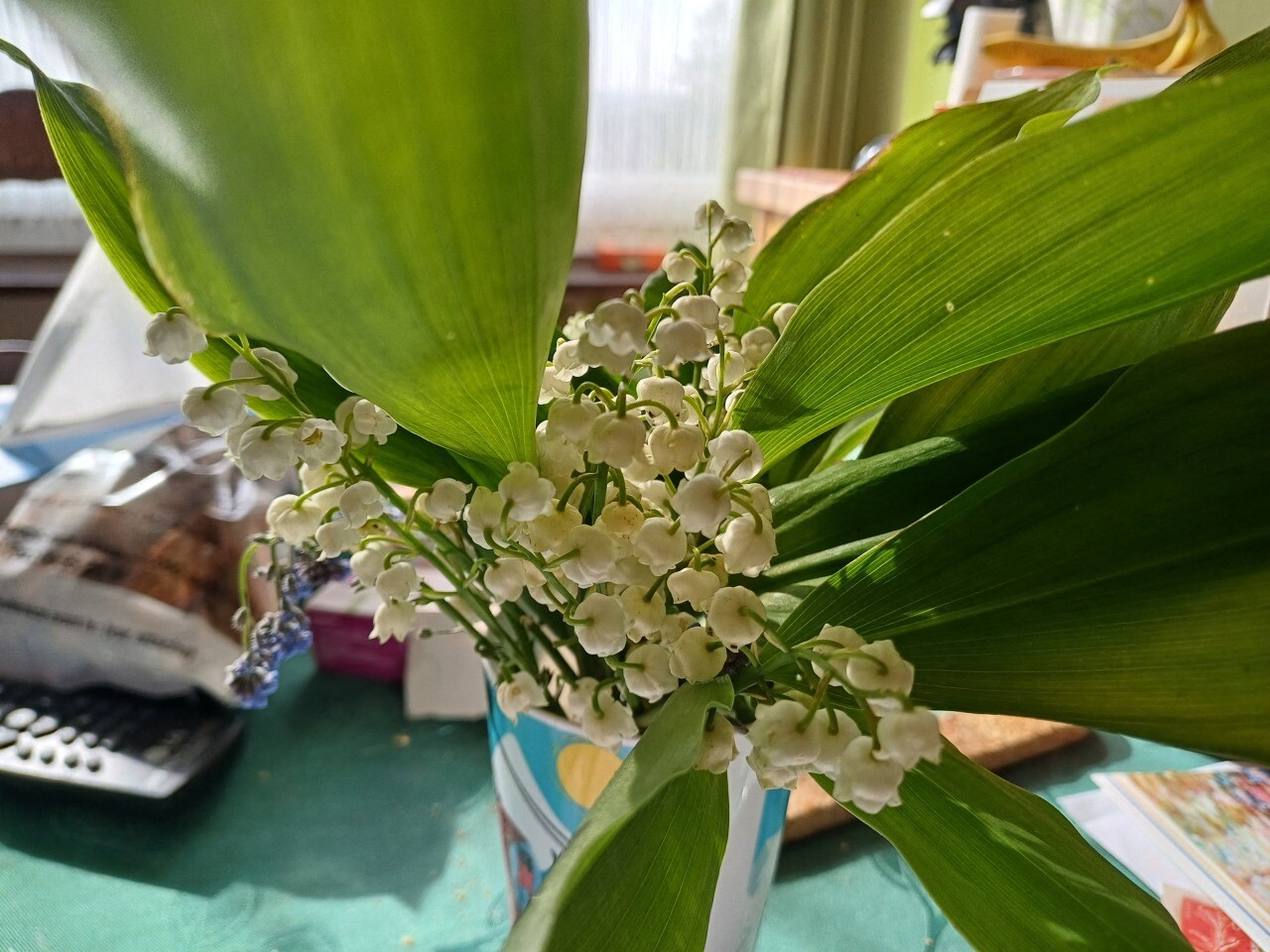 Des règles pour la vente du muguet à Eu et à Mers-les-Bains