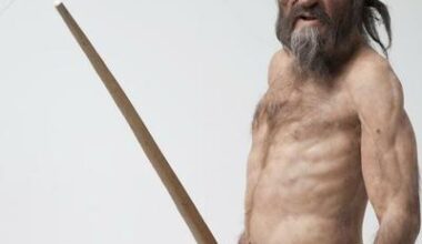 Plus de trente ans après sa découverte, Ötzi l’homme des glaces continue de livrer ses secrets