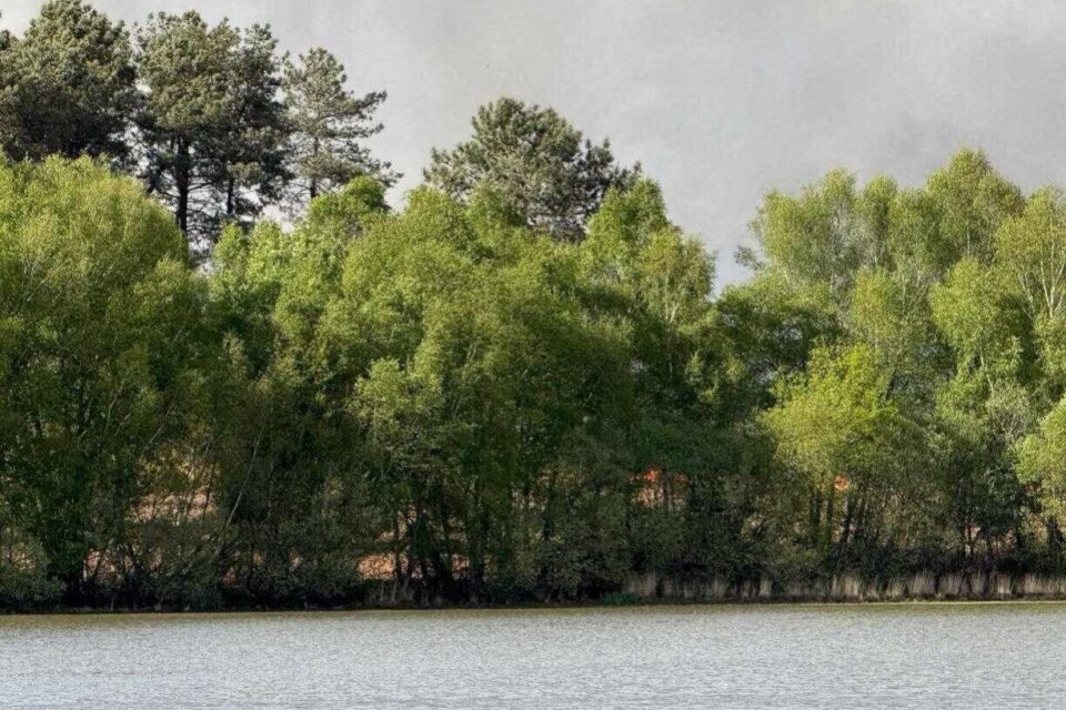 L'incendie se situe sur la rive nord de l'étang d'Ouée, à Gosné (Ille-et-Vilaine).