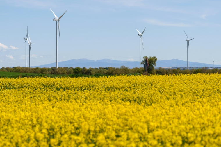 Après la coupure, des experts du secteur se sont interrogés sur un éventuel déséquilibre entre production et demande d'électricité, plus difficile à corriger sans technologies adéquates dans un réseau où l'éolien et le solaire pèsent davantage ( AFP / CESAR MANSO )