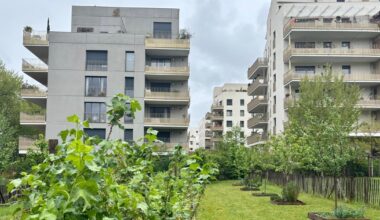 à Lyon, la majorité écologiste fait le bilan de sa politique de végétalisation