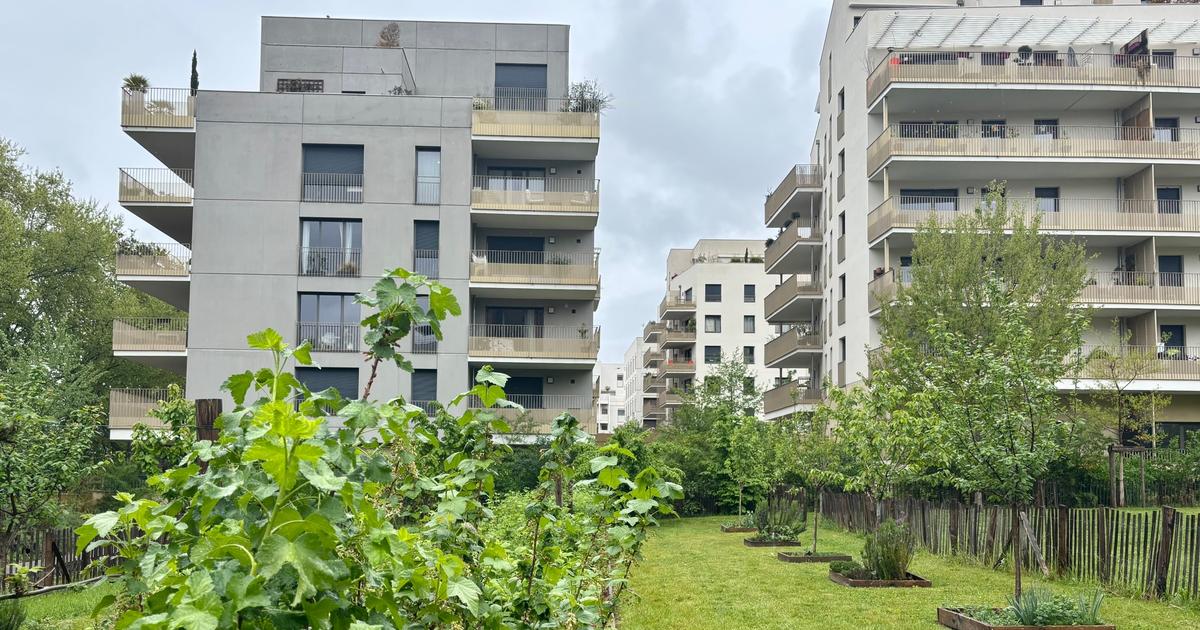 à Lyon, la majorité écologiste fait le bilan de sa politique de végétalisation