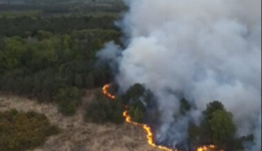 l'impressionnante vidéo du feu de forêt vu du ciel