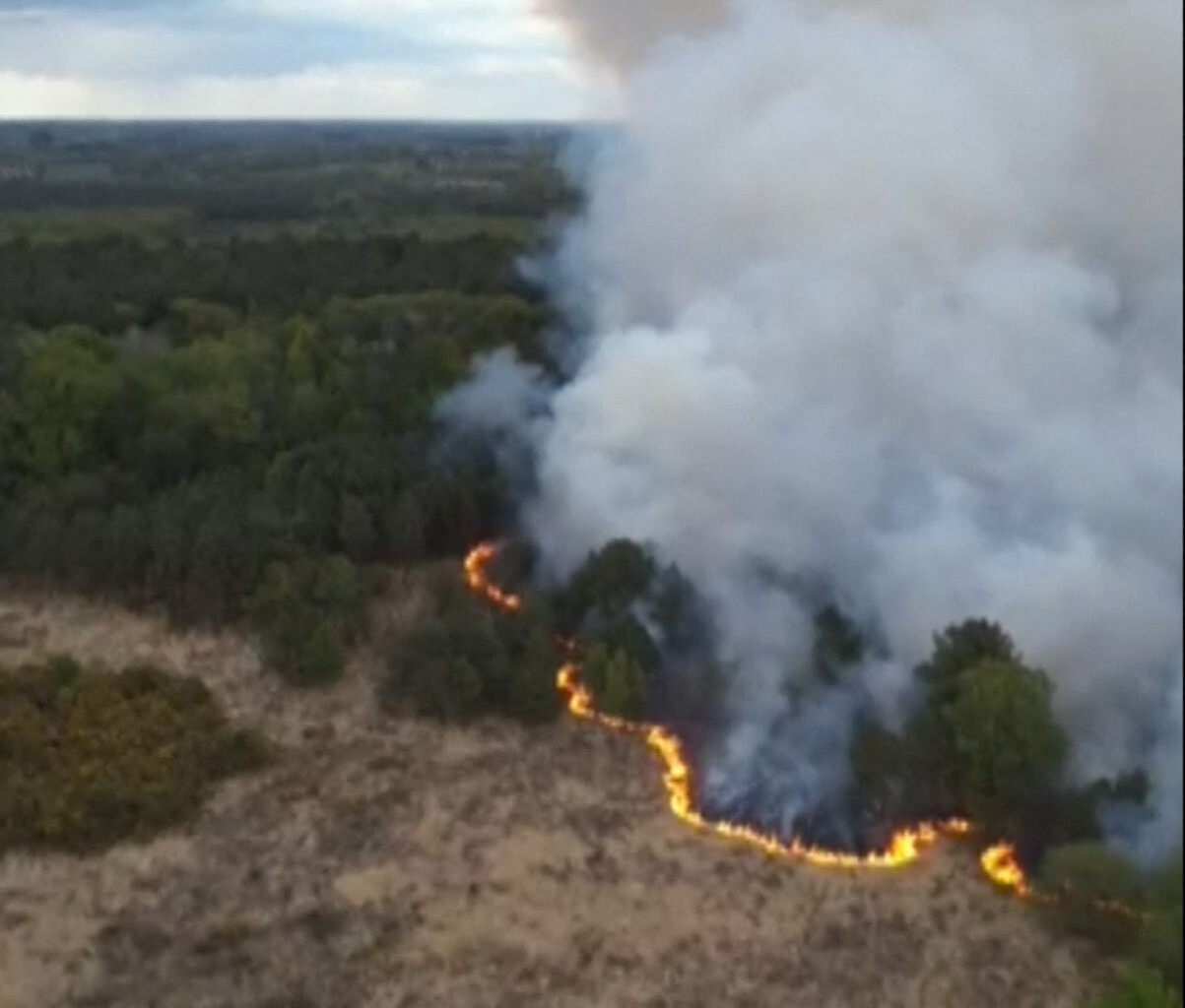 l'impressionnante vidéo du feu de forêt vu du ciel