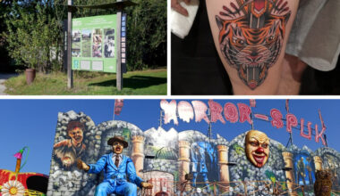 Parcs, événement tattoo, manèges... Que faire ce week-end, près de Lille ?