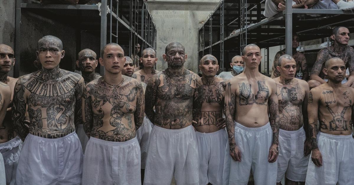 dans les prisons du Salvador, le système implacable qui fait rêver Donald Trump
