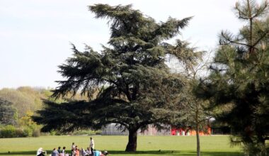 Idées de sorties pour les vacances de Pâques : 5 parcs gratuits en Île-de-France pour flâner et jouer