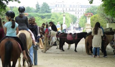 « Quelle mascarade ! » : interdites en début d’année, les balades à poney déjà de retour dans les bois de Paris
