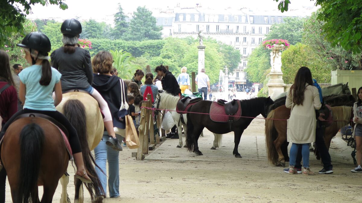 « Quelle mascarade ! » : interdites en début d’année, les balades à poney déjà de retour dans les bois de Paris
