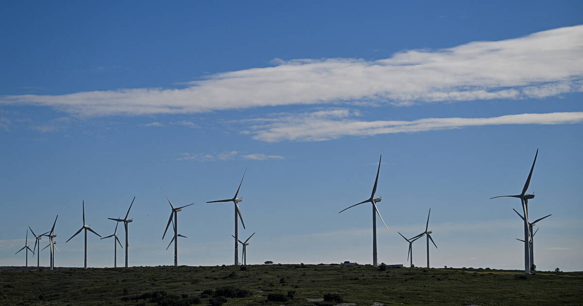 EDF Renouvelables condamné à de fortes amendes, les éoliennes à l’arrêt pendant quatre mois – Libération