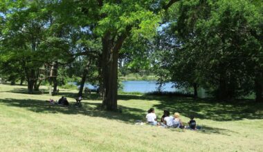 Le serial violeur du parc de Choisy-le-Roi interpellé et placé en détention