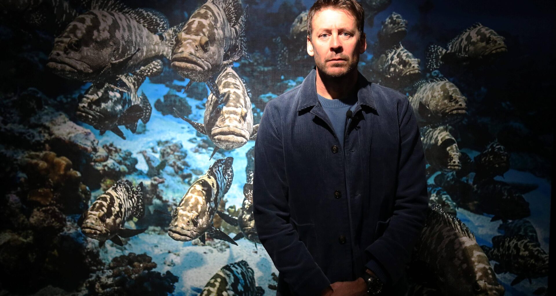 Biennale de arts et de l’Océan: les clichés d’une poésie abyssale de Laurent Ballesta dévoilés au musée de la photographie Charles Nègre à Nice